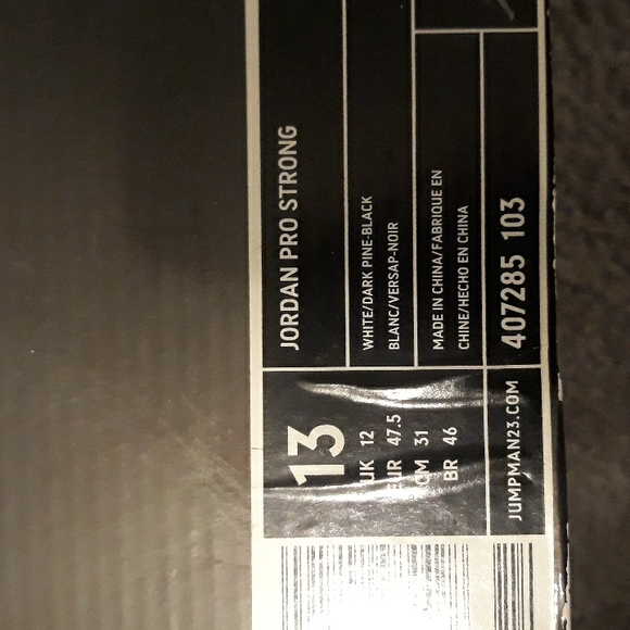 Jordan Pro Strongs - Picture 6 of 6